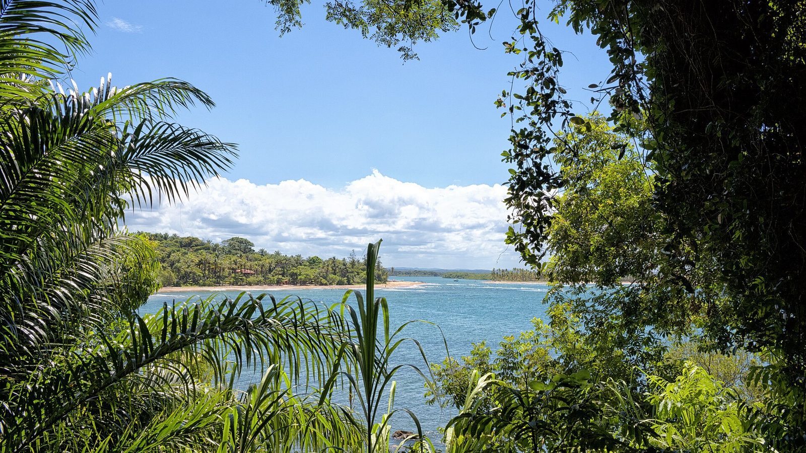 Ilha de Boipeba na Bahia