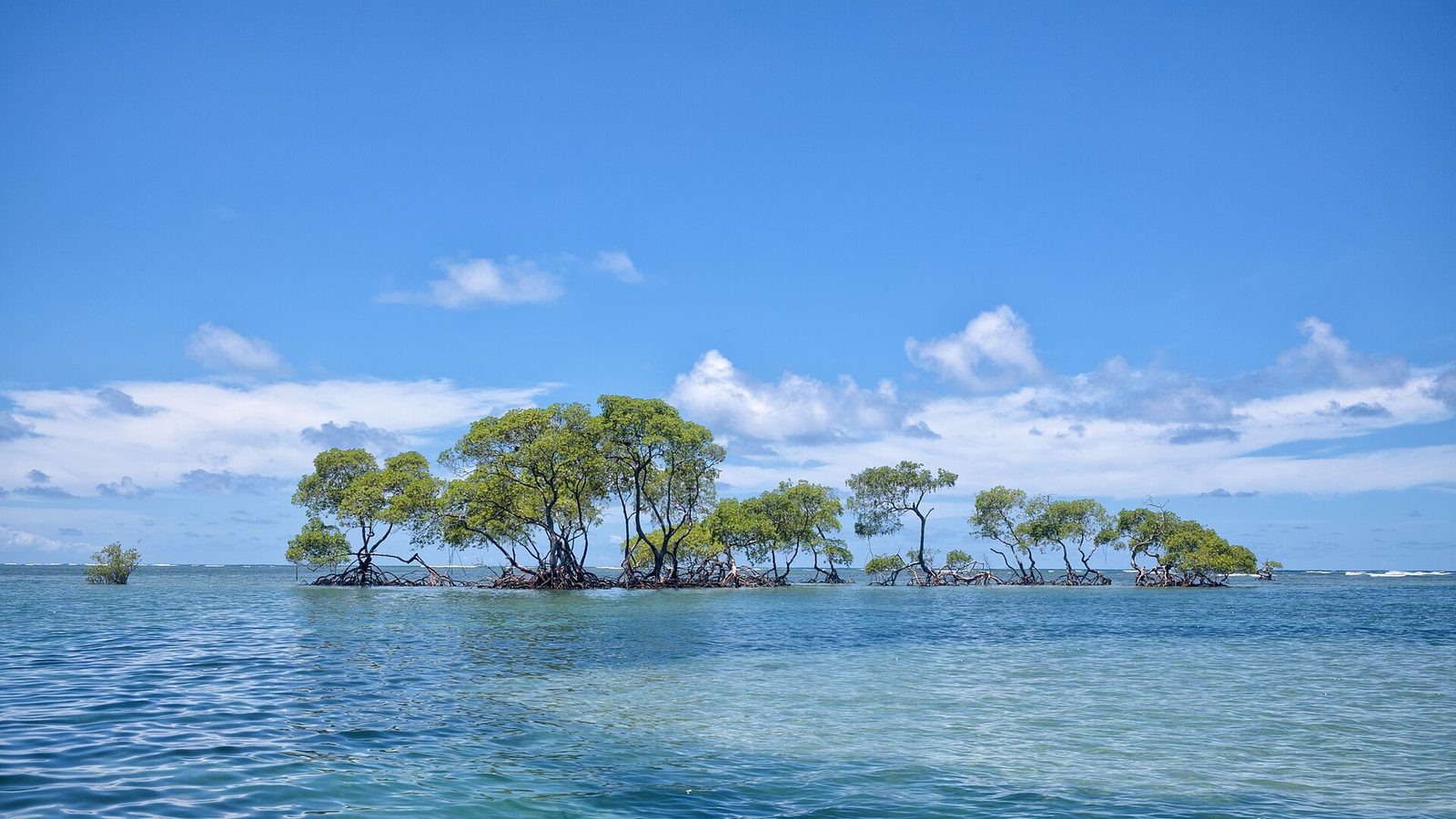 Ilha de Boipeba em Itacaré, Bahia — foto 2