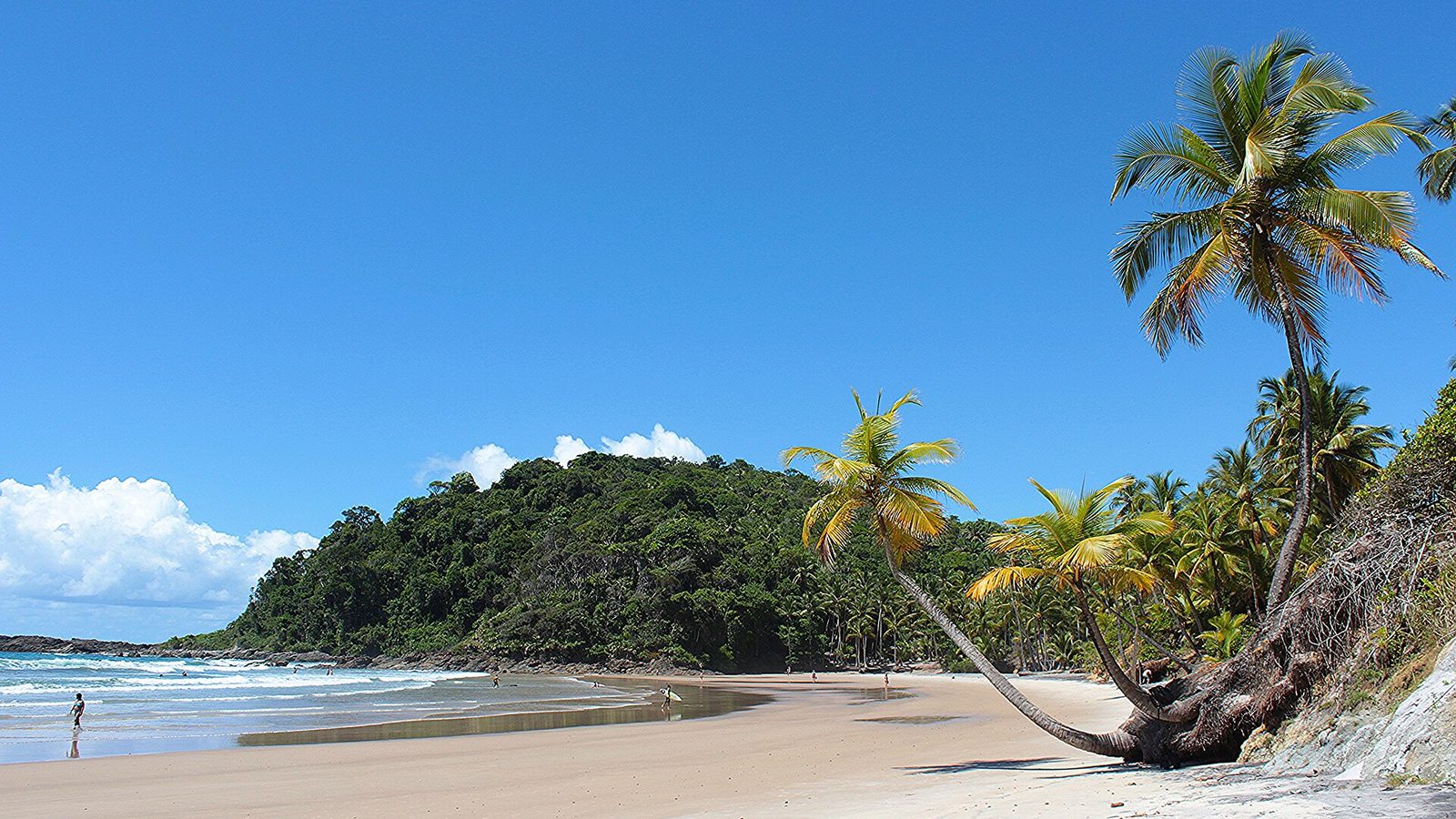 Praia da Engenhoca vista da trilha na mata